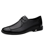 Black / 36