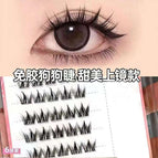 [Wanqing] 36 Clusters [Dog Glue-free False Eyelashes] Gospel for Novice / Single boxed [no tools oh]]