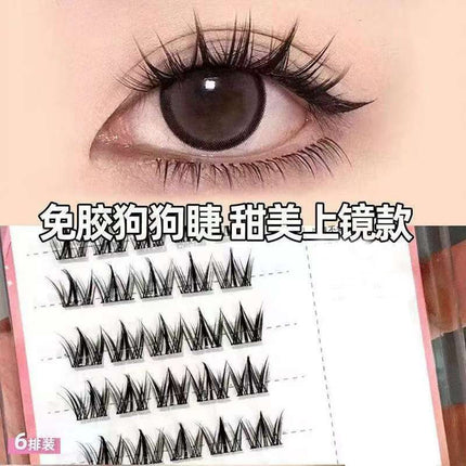Self-Adhesive Dog Eye Enlarger Cute Pet Eyelash Tray with Thin Stems, Glue-Free, Fashionable New Year Gift, Self-Applied