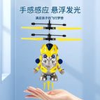 Bumblebee induction aircraft
