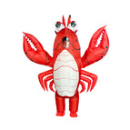 Adult lobster / One size fits all