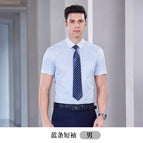 Men's Blue Strip Short Sleeve / S