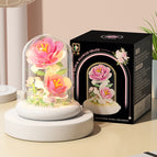 M5005 rose flower/light transparent cover/color box