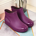 Purple / 36