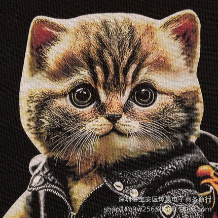 Kangli High-Quality Spray-Printed Cute Cat Trendy Men's Personalized Short-Sleeved Long-Staple Cotton High Street Loose Couple T-Shirt