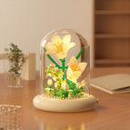 M5001-lily [with transparent cover + light base]