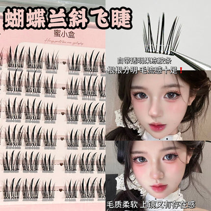 Honey Small Box Phalaenopsis Oblique Flying Glue-free Cartoon False Eyelashes Natural Simulation on Mirror Clear Root and Clear Root False Eyelashes