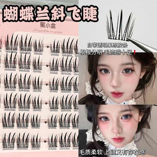 Honey Small Box Phalaenopsis Oblique Flying Glue-free Cartoon False Eyelashes Natural Simulation on Mirror Clear Root and Clear Root False Eyelashes