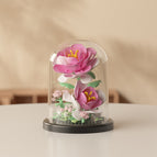 M3120-rose flower [with transparent cover + ordinary base]