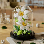 Lily blooming - including dust cover 285pcs [color box]