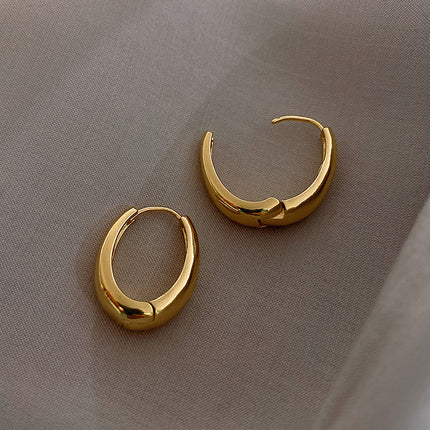 Korean Retro Elegant Earrings 2025 New Trendy Internet Celebrity Simple Cold Style Earrings Women's Ear Jewelry