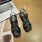 2212-2 rear with black / 40-41