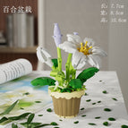 Lily potted 260pcs 