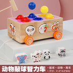 Animal knocking ball intelligence car