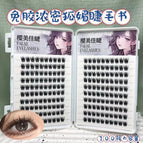 20 rows of 200 clusters glue-free fd05 eyelash book