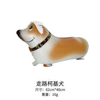 Walking corgi (given a rope)