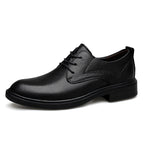 black / 36