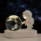 Dolphin companion / Beloved Astronaut natural light