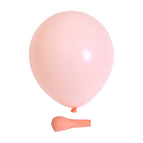 10 inch 2.2g Macaroon orange 100