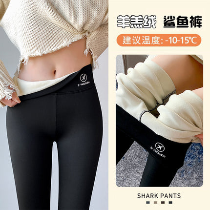 Source Shark Pants Women's Velvet Outerwear Summer High Waist Slim Fit Slimming Thickened Leggings Fitness Yoga Delivery