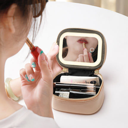 Cosmetic Bag with LED Light Portable small size Cosmetic Case Travel Cosmetic Storage Box