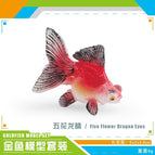 Pl127-4026 five-flowered dragon eyes 9g
