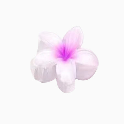 European and American Cross-Border Frosted Gradient Plumeria Hair Clip Elegant Women's Shark Clip Large Beach Hair Accessory Wholesale
