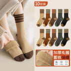 [Heat Storage Lock Temperature] 10 Double Pack Combination B / Winter padded stockings (35-40 free size)