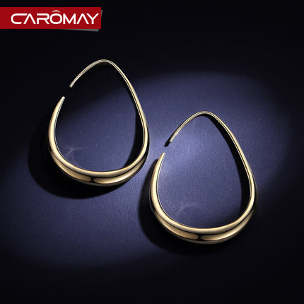 European and American Exaggerated Geometric Ear Ring Earrings Women's Korean Elegant Internet Popular Long Earrings Simple Face Slim Earrings