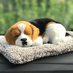 Mige dog (including 200 grams of nano mineral crystal)