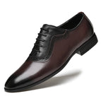 Brown / 38