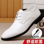 P69 white counter boutique version / 38