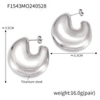 F1543-Steel earrings