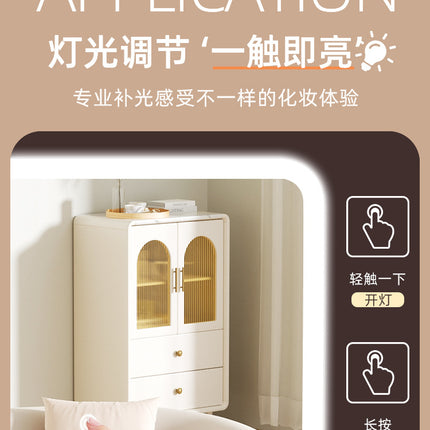 Makeup Case with Light and Mirror, Led Makeup Bag, Large Capacity Makeup Box, Storage Box, Storage Bag, Multifunctional