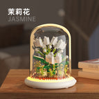 [Gift box] M1093 Jasmine