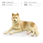 PL127-2796 lying husky 274g