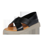 Black / 35