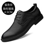 Black shark pattern heightening model / 37
