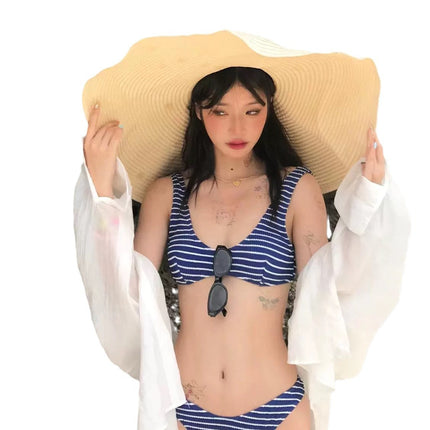 Swimsuit Instagram Style Women's Split Bikini Stripe Pure Hot Spring South Korea Small Chest Gathering Slimming Vacation Swimsuit