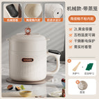2l mechanical model + steamer