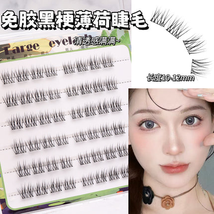 [6 Rows of Glue-Free] New Chinese Style Qingqiu Fox New Soft New Fox False Eyelashes Natural Photogenic Oblique Flying Style