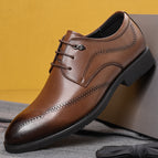 Dark brown / 37