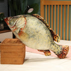 30cm / Mandarin fish