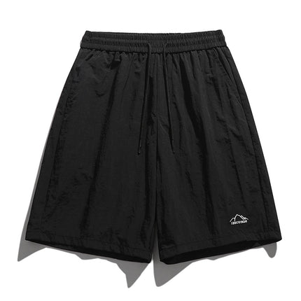 Summer Quick-drying Shorts Couples Same Style Sports Hong Kong Style Casual Pants Trendy All-match Embroidered Ice Silk Shorts for Men