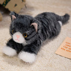 40cm(0.15 / Gray cat