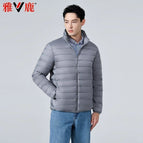 Gray stand collar / Within m 60kg
