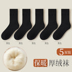 Velvet and thickening [5 pairs] 5 black