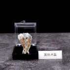 Chicken hair crystal belt box 2- 2.5cm