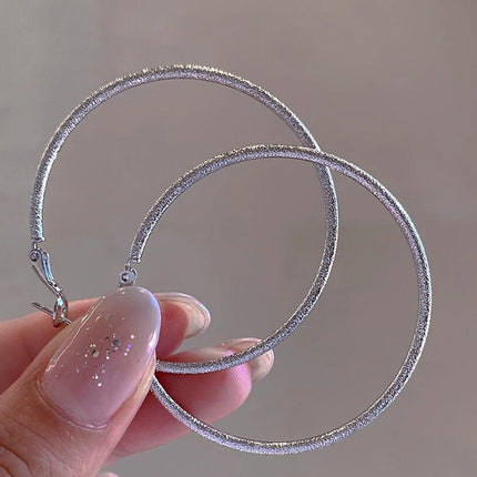 European and American Ins Large Circle Elegant Trendy Girls Frosted Earrings S925 Silver Needle Earrings Personalized Popular Hoop Earrings