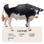 s099 male cow 174g